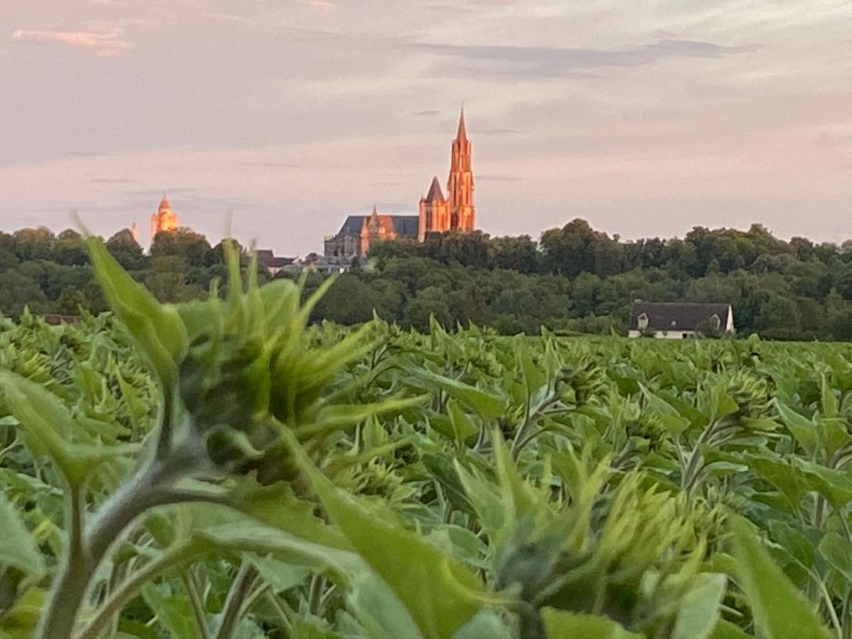 Maison De Campagne By La Boite En Plus サンリス エクステリア 写真